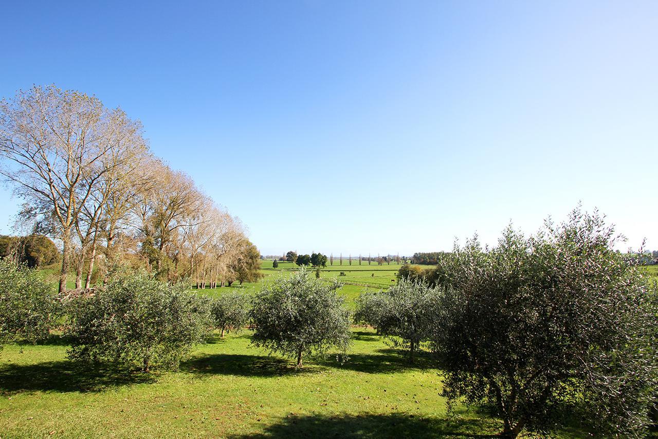 Ohaupo Olives Bed and Breakfast Buitenkant foto